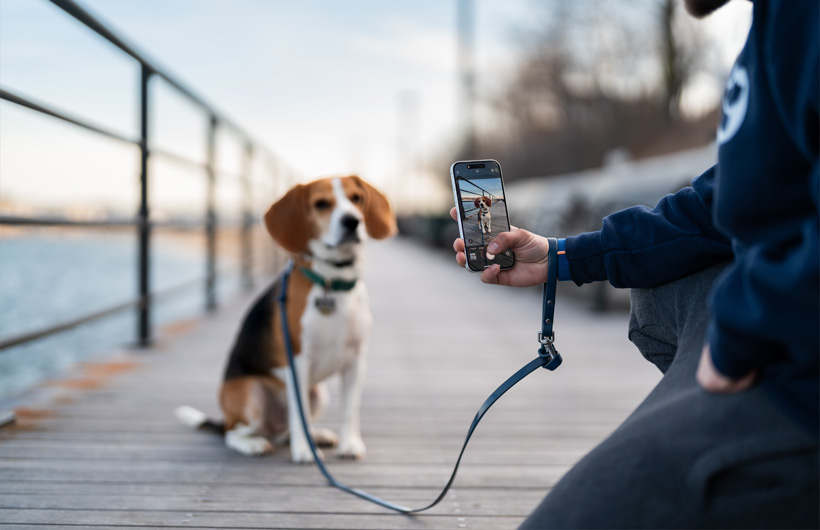 The exceptional camera quality of iPhone adds polish to pet report cards for pet owners.