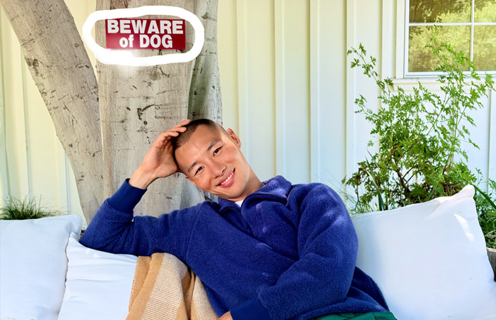 أداة التنظيف في Apple Intelligence تسلط الضوء على عنصر في خلفية صورة