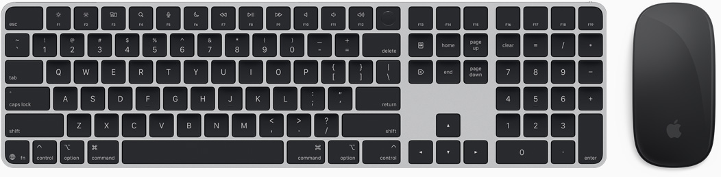 Vue du dessus du Magic Keyboard et de la Magic Mouse.